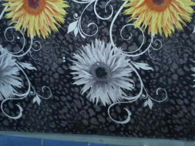 Capturi de ecran de difuzare Samara4u