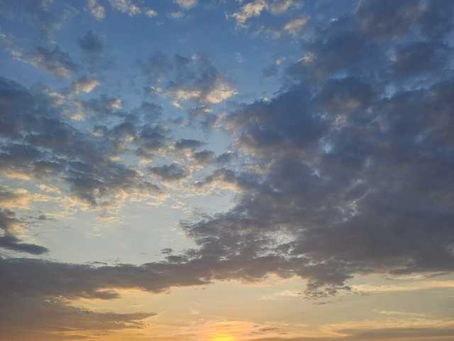 Fotografie a profilului onehumanbeing