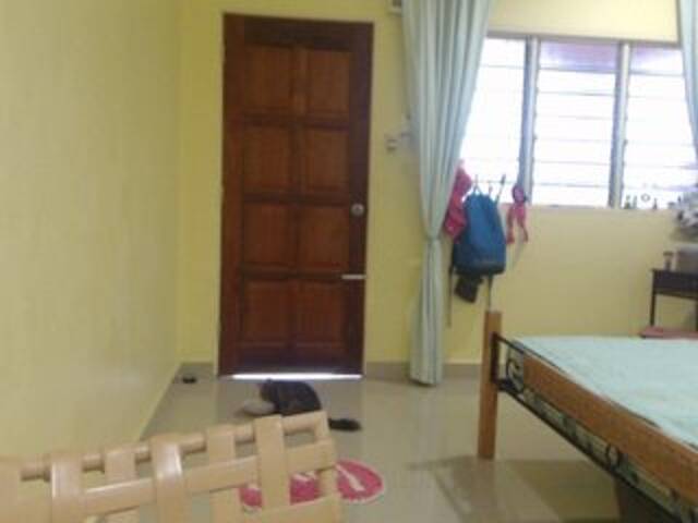 Capturi de ecran de difuzare SexiBelle