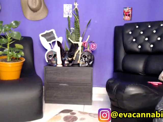 Capturi de ecran de difuzare evacannabithc