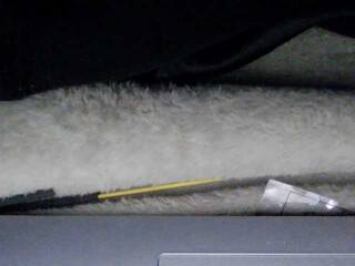 Chat video erotic sexysapphiresweet