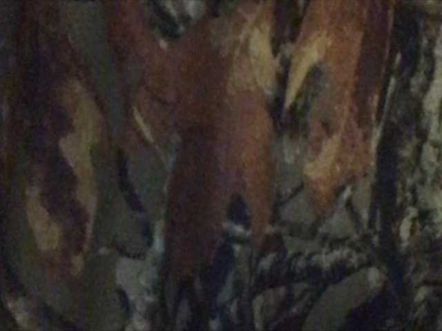 Capturi de ecran de difuzare shawtyyredd