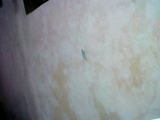 Capturi de ecran de difuzare simplemary