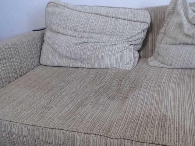 Capturi de ecran de difuzare SmallBerry