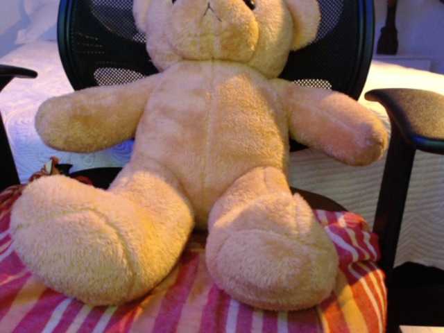 Capturi de ecran de difuzare SofiaZapata