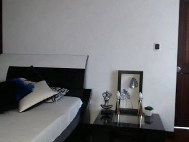 Capturi de ecran de difuzare StaceyWood