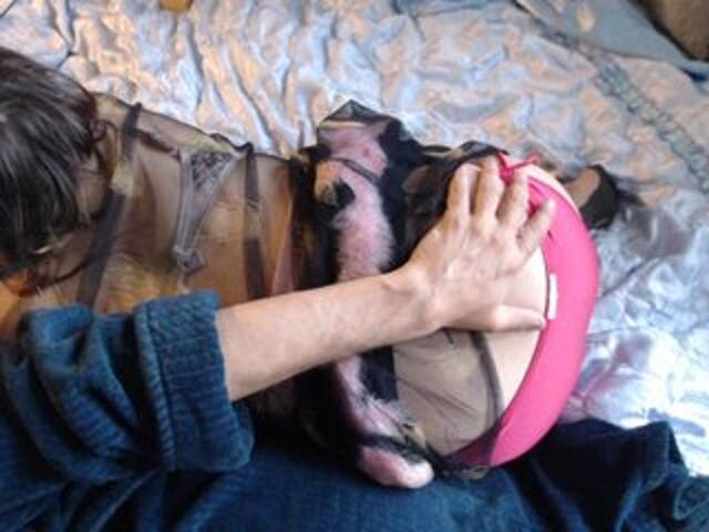 Capturi de ecran de difuzare Masha_Ivanova