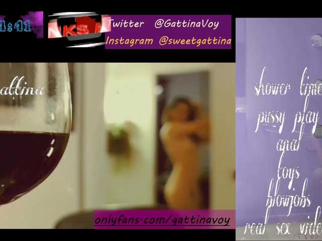 Capturi de ecran de difuzare SweetGattina