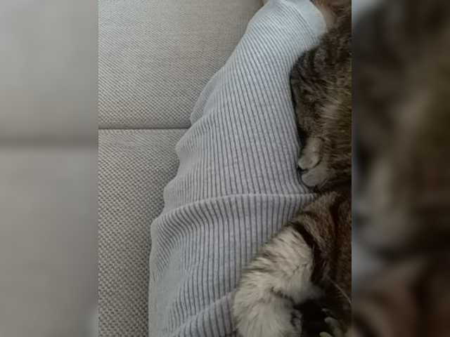 Capturi de ecran de difuzare GolayaPravda