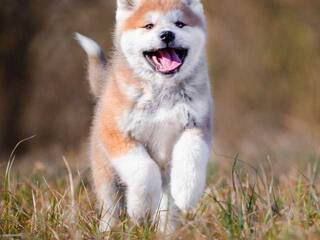 Chat video erotic Val309a