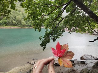 Chat video erotic _GoodGirl_