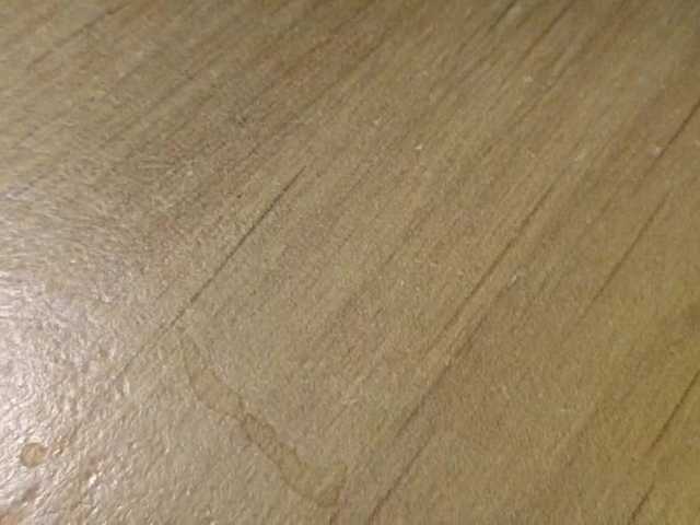 Capturi de ecran de difuzare VRMaxAlice
