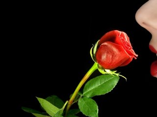 Fotografie a profilului xxsweetlady